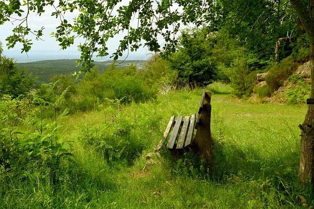了再次為巴 了再次為巴